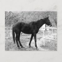 Cavalo Pop de Arte em Escala de cinza