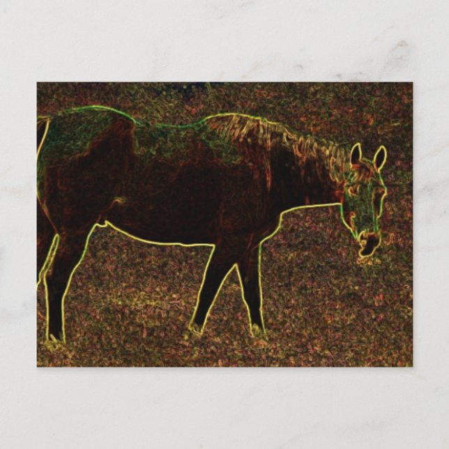 Cartão Postal Cavalo Por Aí (Frente)