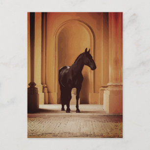 Cartão Postal Cavalo Preto Elegante em Arcada Dourada