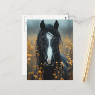 Cartão Postal Cavalo Preto Lindo