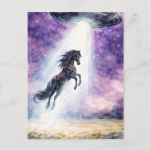 Cartão Postal Cavalo Preto Lindo e OVNI