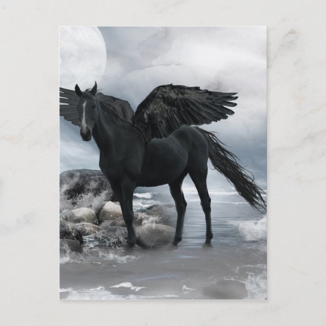 Cartão Postal cavalo preto Pegasus (Frente)