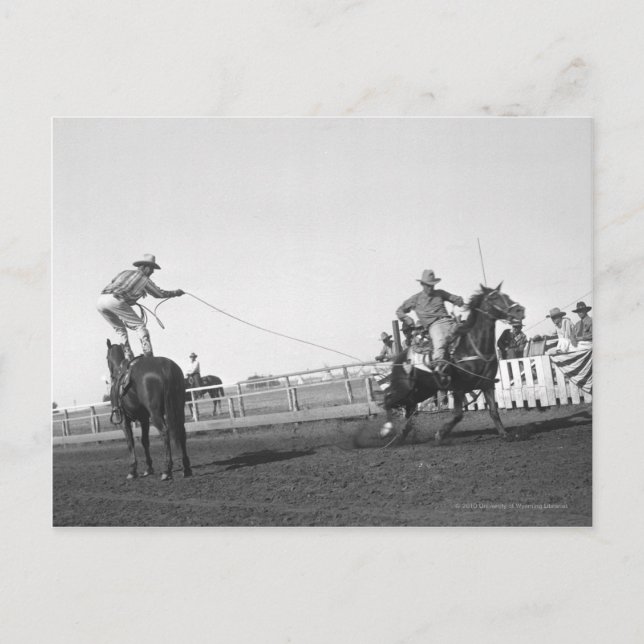 Cartão Postal Cavalo-rolha (Frente)