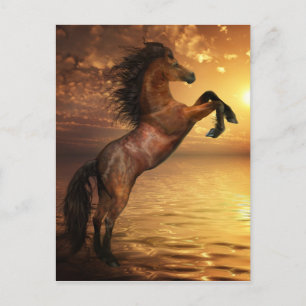 Cartão Postal Cavalo Selvagem Erguendo-se pela Liberdade