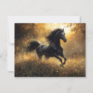 Cartão Postal Cavalo Selvagem Garanhão Preto Mustang