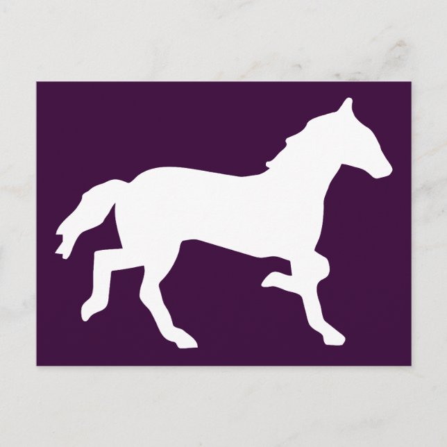 Cartão Postal cavalo simples (Frente)