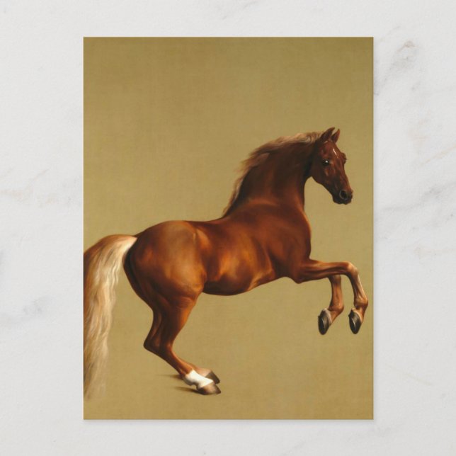 CARTÃO POSTAL CAVALO VERMELHO (Frente)