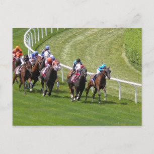 Cartão Postal Cavalos