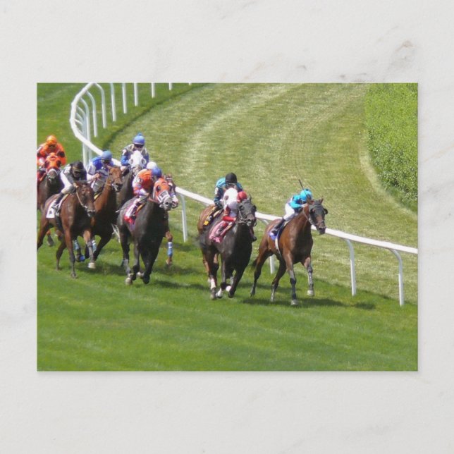 Cartão Postal Cavalos (Frente)