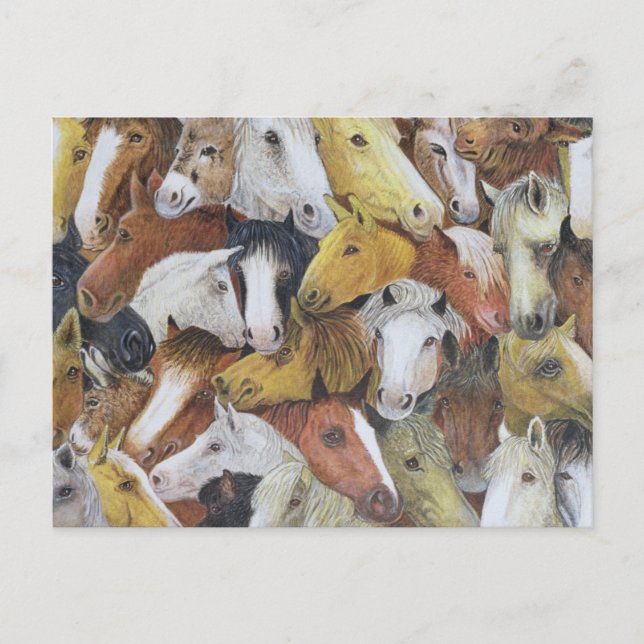 Cartão Postal Cavalos (Frente)