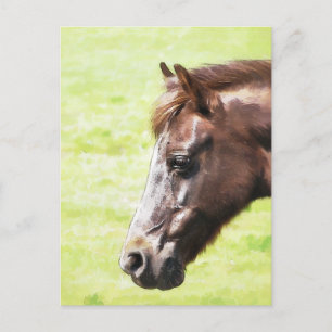 CARTÃO POSTAL CAVALOS