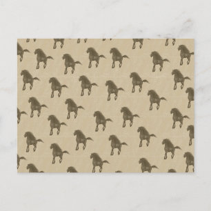 Cartão Postal Cavalos