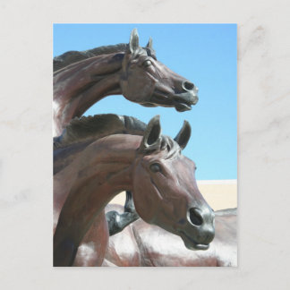 Cartão Postal Cavalos