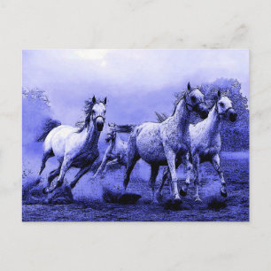 Cartão Postal Cavalos a Correr & Luar Azul
