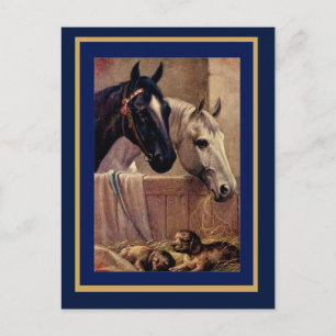 Cartão Postal Cavalos Antigos Cães