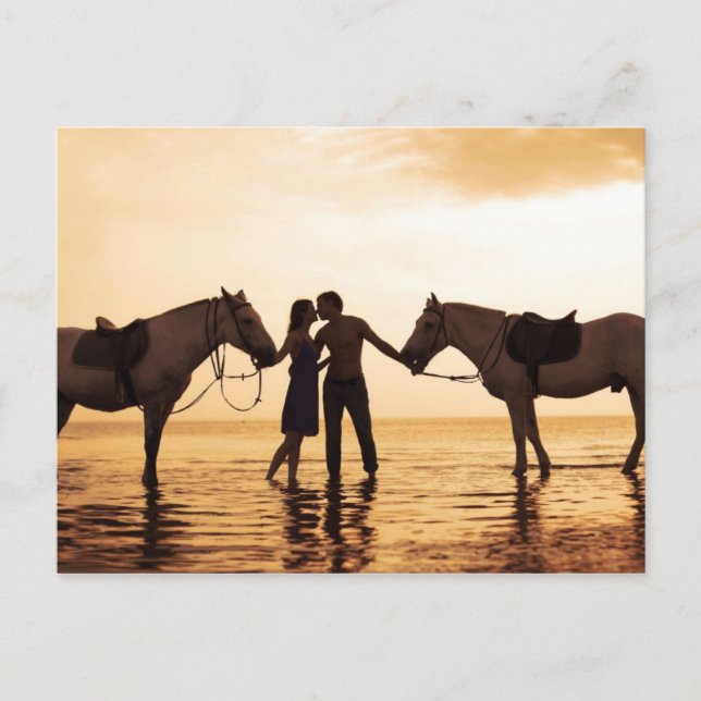 Cartão Postal Cavalos casais (Frente)
