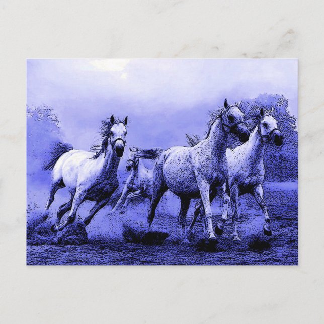 Cartão Postal Cavalos correndo e luz azul (Frente)