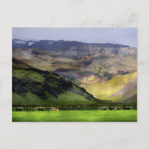 Cartão Postal Cavalos corridos Islândia