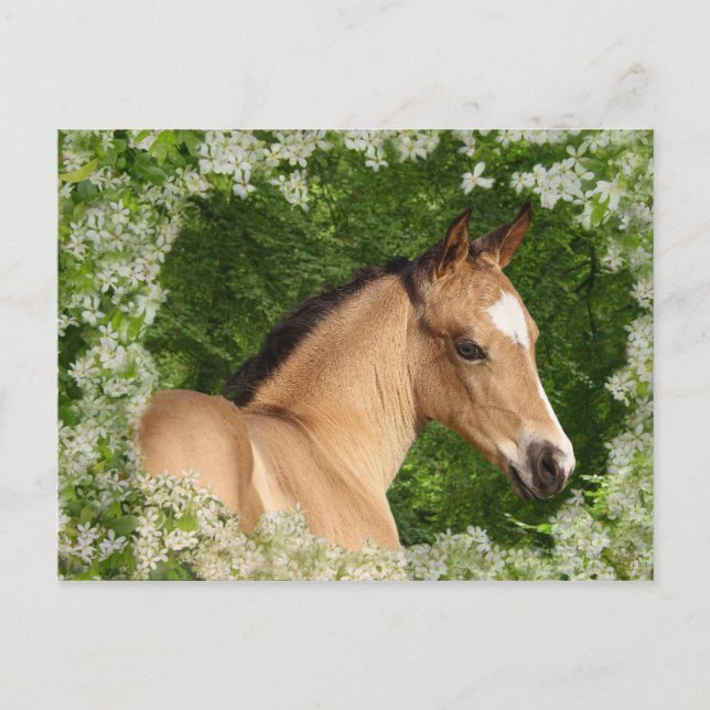 Cartão Postal Cavalos da fantasia: Flores (Frente)