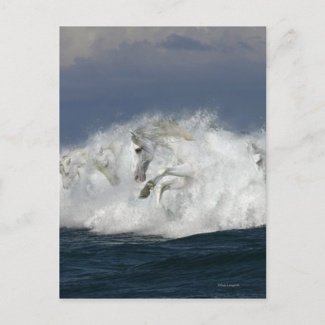 Cartão Postal Cavalos da fantasia: Mar (Frente)