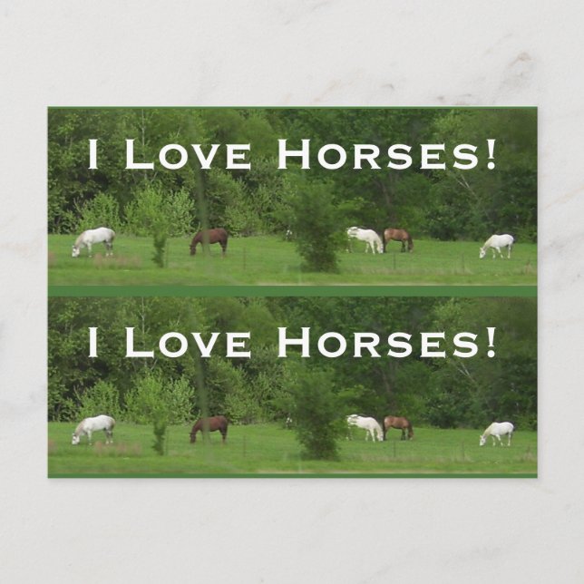 Cartão Postal Cavalos de Amor! Marcadores - Personalizar! (Frente)