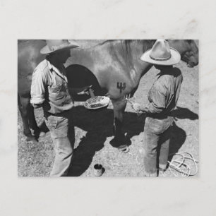 Cartão Postal Cavalos de branding com marca do bife