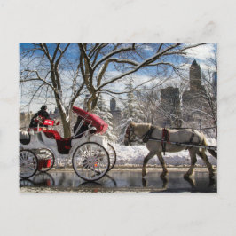 Cartão Postal Cavalos de Carruagem de inverno no Central Park