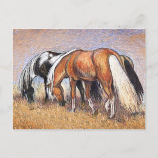 Cartão Postal Cavalos de Cruzamento