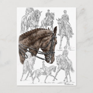 Cartão Postal Cavalos de Dressagem Coletados FEI