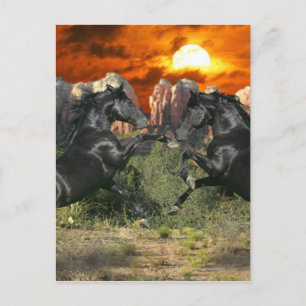 Cartão Postal Cavalos de Fantasia: Magia Negra