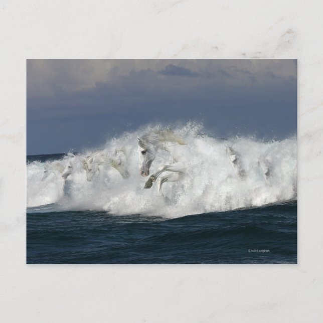 Cartão Postal Cavalos de Fantasia: Mar (Frente)