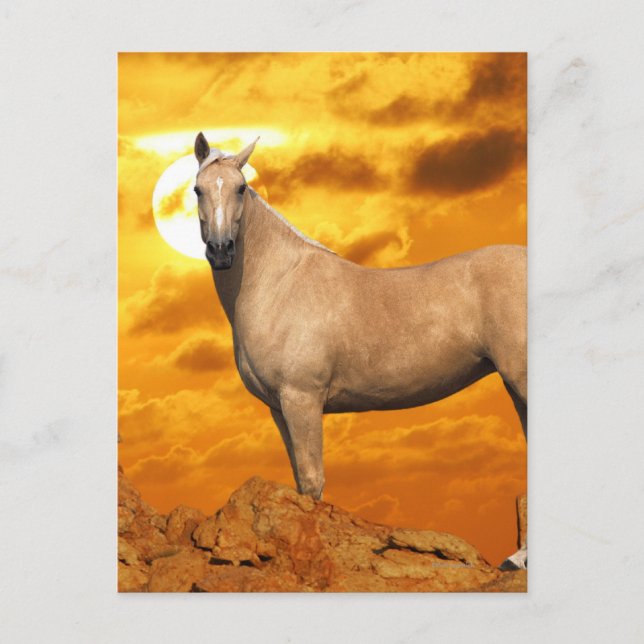 Cartão Postal Cavalos de Fantasia: Montanha (Frente)