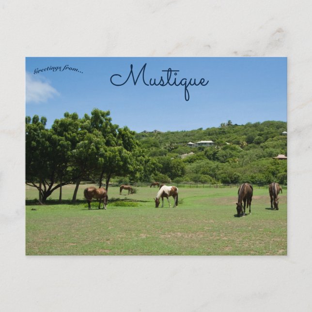 Cartão Postal Cavalos de luxo em Mustique (Frente)