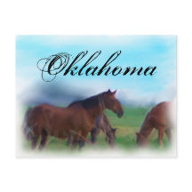 Cavalos de Oklahoma