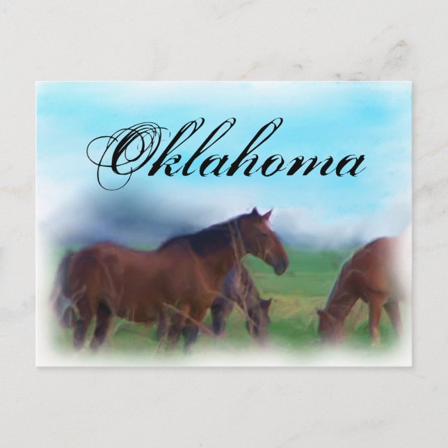 Cartão Postal Cavalos de Oklahoma (Frente)
