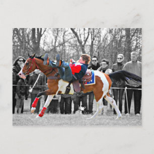 Cartão Postal Cavalos de Show