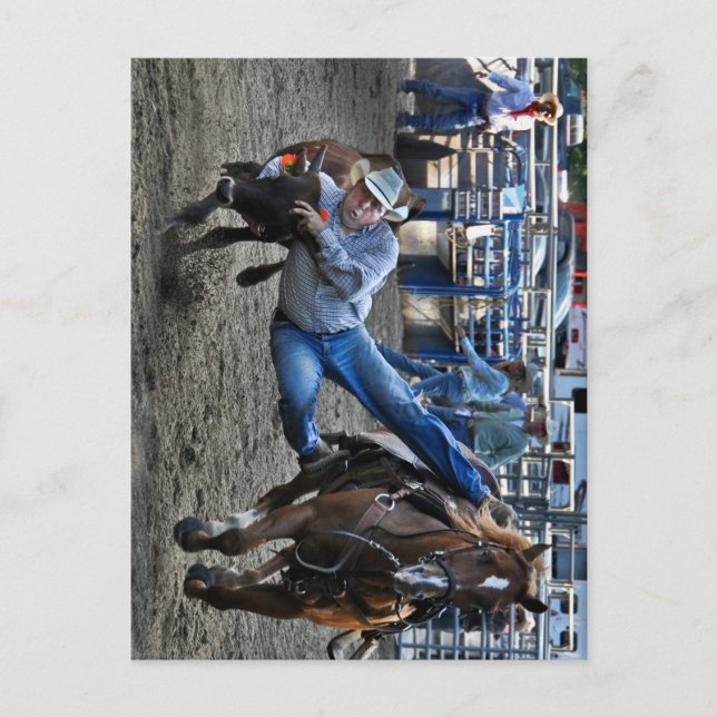 Cartão Postal Cavalos de Torção (Frente)