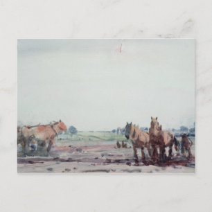 Cartão Postal Cavalos de Voo