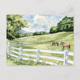 Cartão Postal Cavalos do Rancho Green Pastures