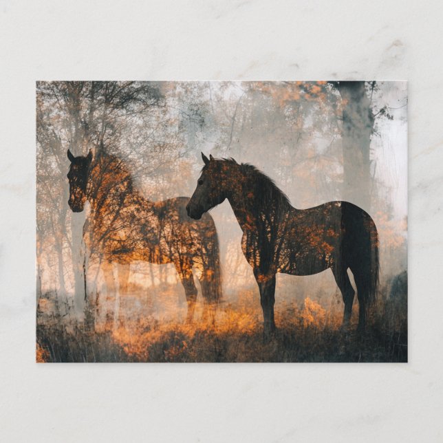 Cartão Postal Cavalos Dupla Exposição (Frente)