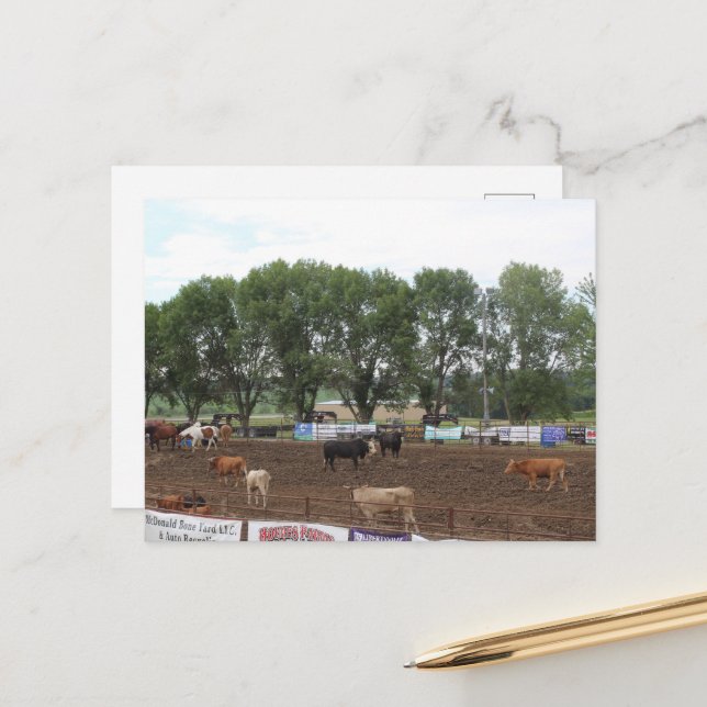Cartão Postal Cavalos e Touro de Rodeio (Frente/Verso In Situ)