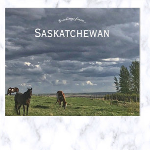 Cartão Postal Cavalos em Mortlach Saskatchewan Canadá