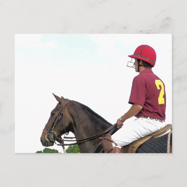 CARTÃO POSTAL CAVALOS ESPORTIVOS (Frente)