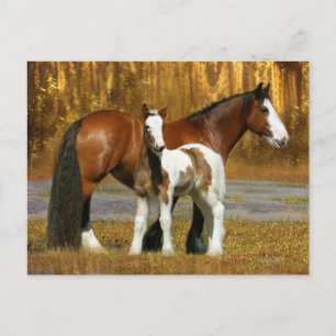 Cartão Postal Cavalos Fantásticos: Mare & Foal