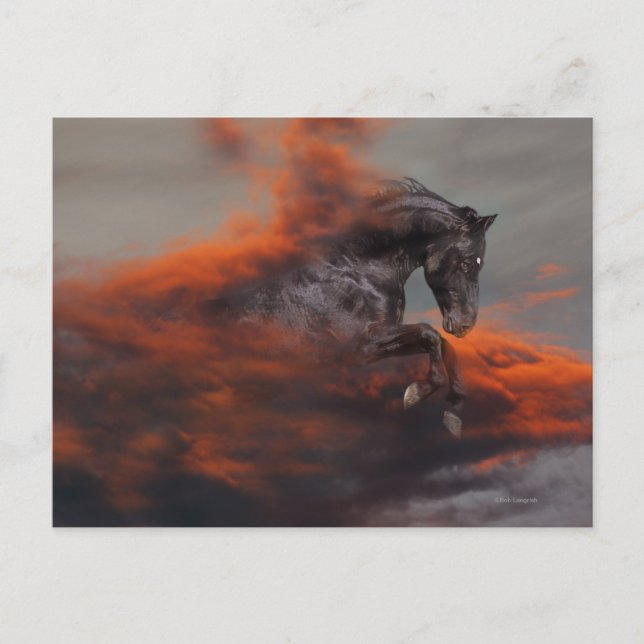 Cartão Postal Cavalos Fantásticos: Nuvens (Frente)