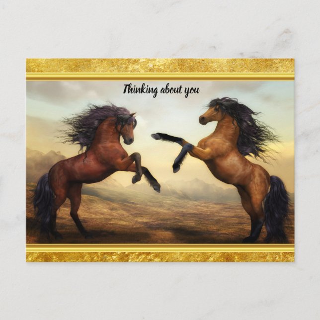 Cartão Postal Cavalos Frísia Rascunhos em um vale de montanha ro (Frente)