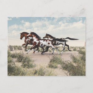 Cartão postal Cavalos Galopando