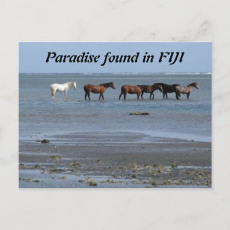 Cartão Postal Cavalos na praia em Fiji Cartão-postal