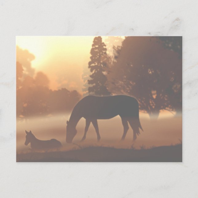 Cartão Postal Cavalos no Nevoeiro da Manhã2 (Frente)