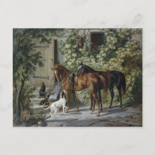 Cartão Postal Cavalos no Porch (por Albrecht Adam)